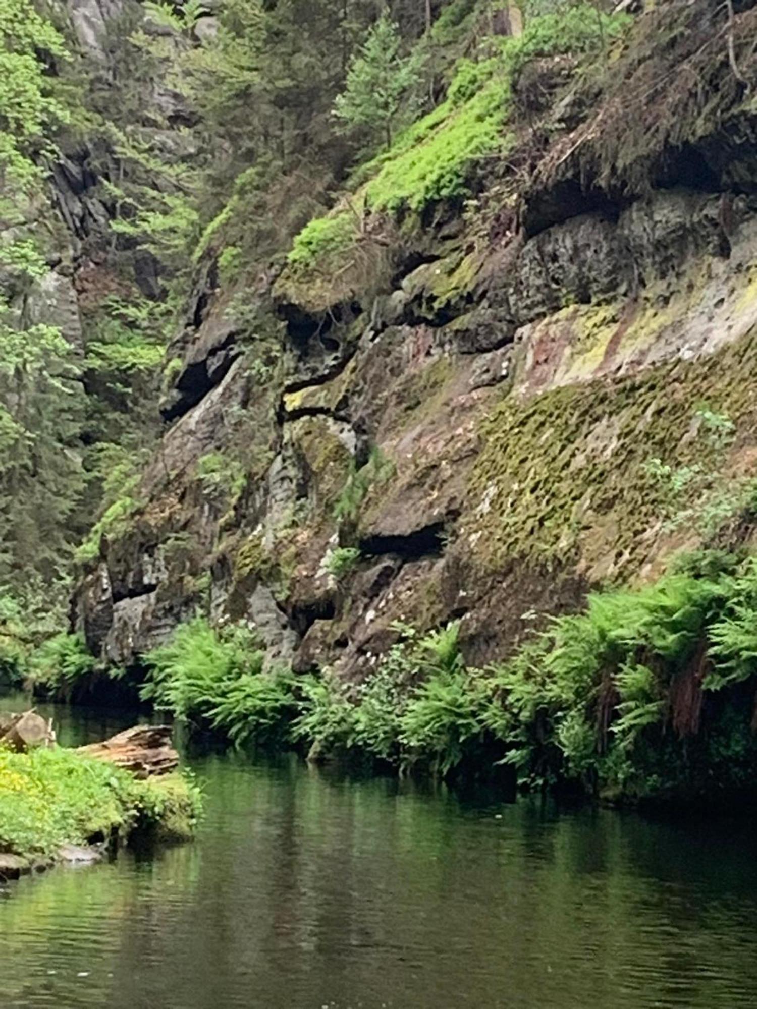 Mezna 85 Lägenhet Hřensko Exteriör bild